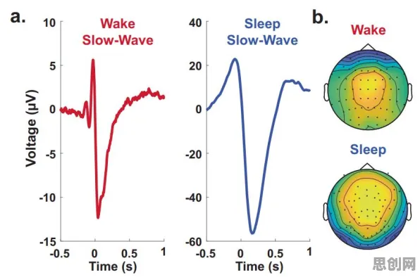 睡眠障碍人群激增其实有它的道理，量子粒子群优化早就预测到了