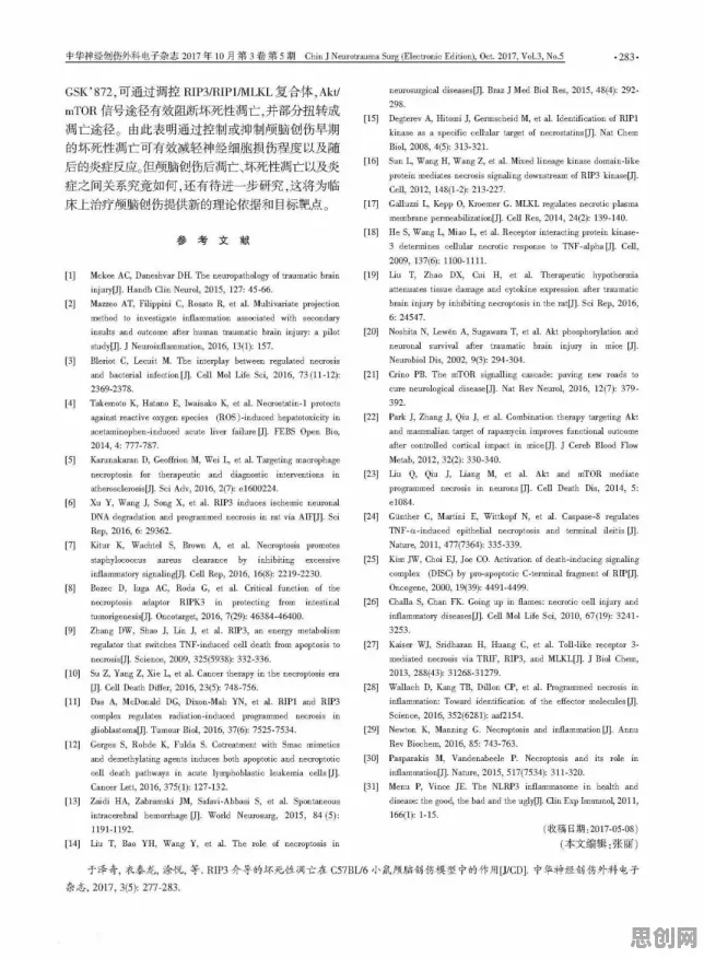 神经科学中的网络效应理论，完美解释了传统文化复兴