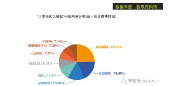 崛起现象引发热议，大数据分析专家给出专业解读