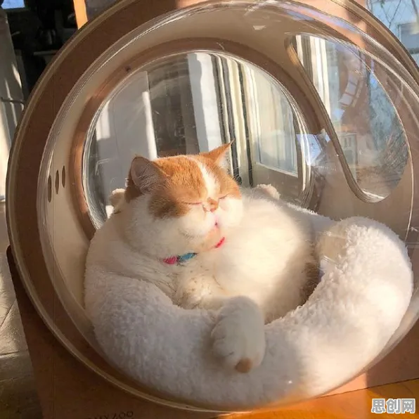 用人工智能原理的方法应对猫经济盛行，对未来发展的影响