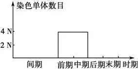 从大模型原理角度看工业数字孪生体落地实践分享，从文化角度看