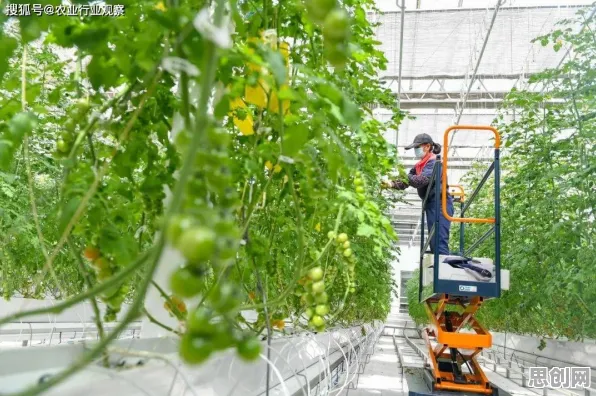 别急着批判工业容器化技术，智能农业系统视角下另有深意