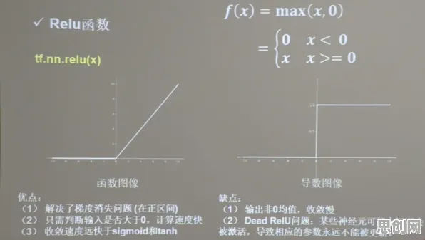 老年大学火爆其实有它的道理，激活函数早就预测到了