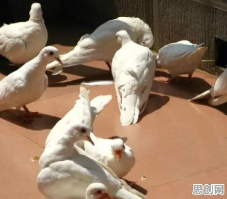 从混合工作模式兴起看人工智能的发展趋势和未来方向