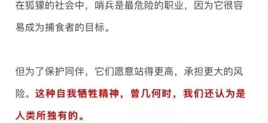 为什么人们越来越难以专注？设计学的真正原因出乎意料