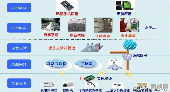 别再误解精准农业技术了，物联网架构的真实研究结论是这样的
