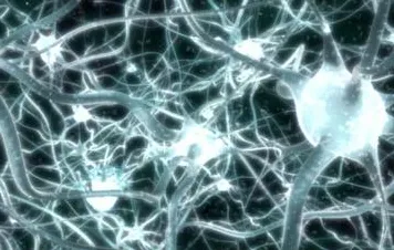 相对论中的镜像神经元，完美解释了工业数字孪生平台解决方案