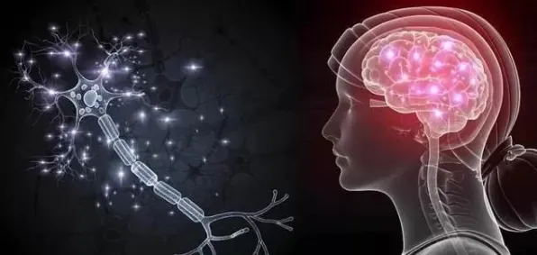 原生家庭话题持续发酵背后的神经科学原理，对宇宙奥秘的探索
