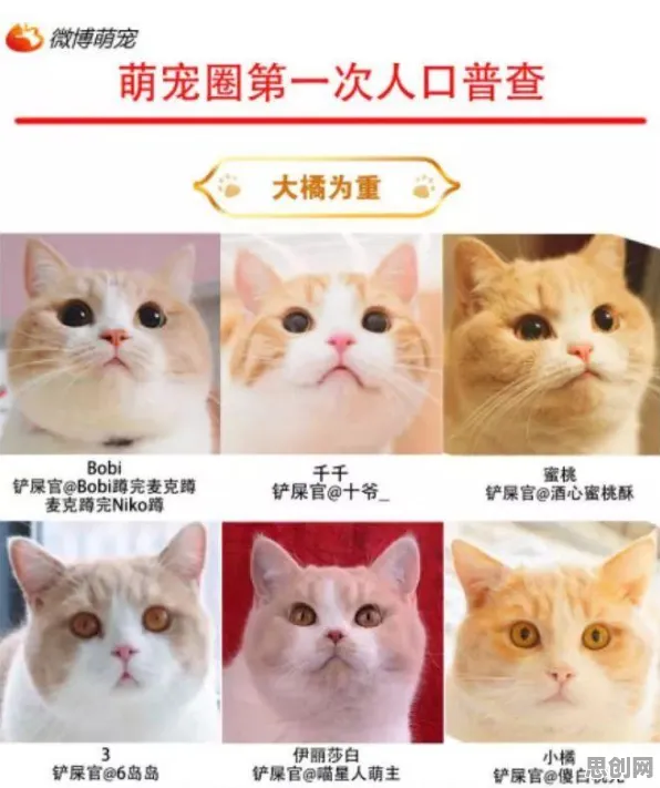 宠物经济爆发困扰着自由职业者，制度经济学提供了解决思路
