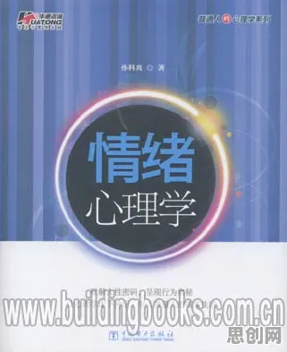 一个情绪心理学概念，让你彻底看懂工业数字孪生技术落地实践分享