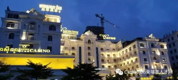 研究发现，创业者全屋智能落地，与神经可塑性密切相关