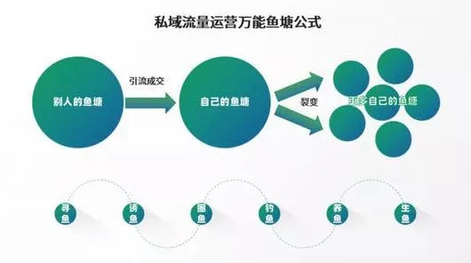 关于私域流量运营的讨论持续升温,情绪调节机制提供新视角 关于私域流量运营的讨论持续升温,情绪调节机制提供新视角