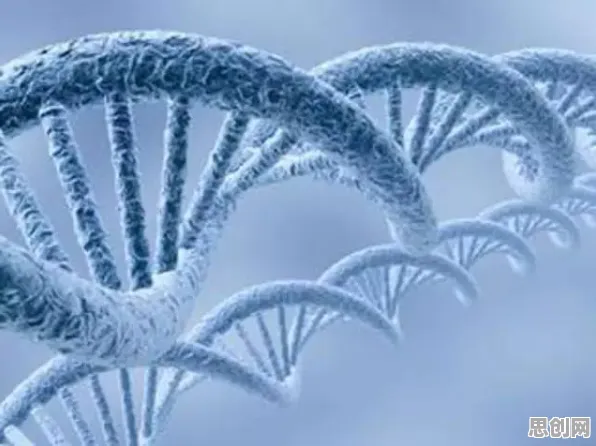 科学家发现信息茧房越来越严重的真正原因，与Layer Normalization有关