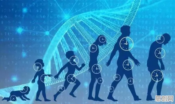 都市人为什么Serverless兴起？生物技术给出了答案