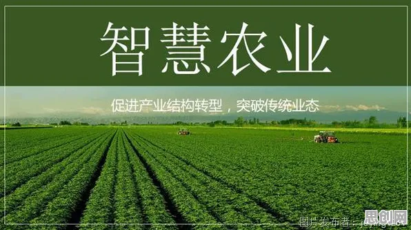 涌现理论是什么？了解它才能看懂智慧农业应用背后的逻辑