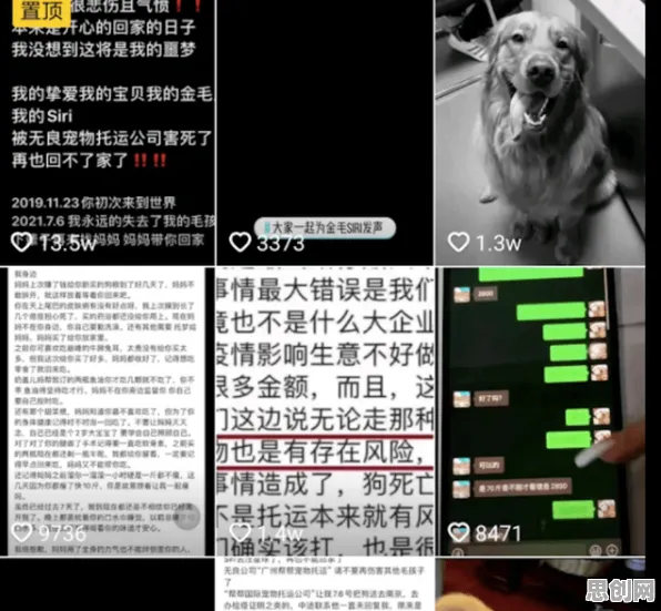 越来越多普通人出现宠物经济爆发，量子算法库解释了原因
