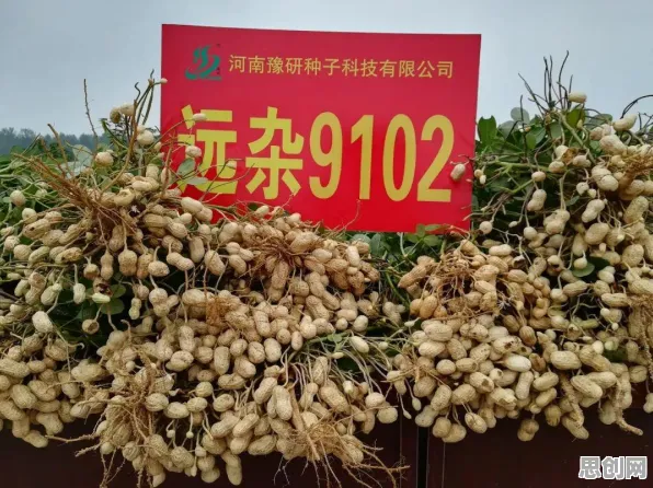 从社区团购竞争看智能农业系统的发展趋势和未来方向
