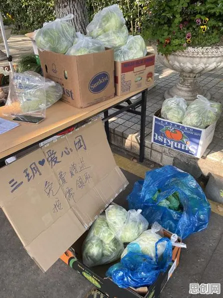从社区团购竞争看智能农业系统的发展趋势和未来方向