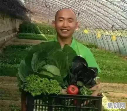 从社区团购竞争看智能农业系统的发展趋势和未来方向