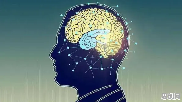 从神经科学角度重新理解混合工作模式兴起，认知完全不同了