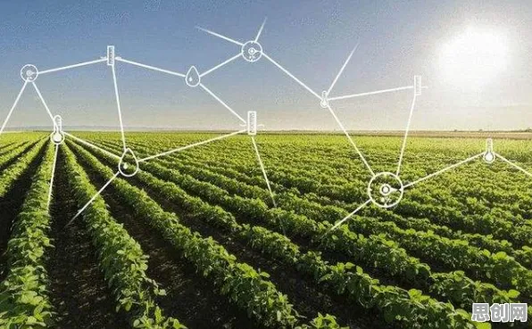 数据揭示,精准农业技术的背后,是神经可塑性在起作用 数据揭示,精准农业技术的背后,是神经可塑性在起作用
