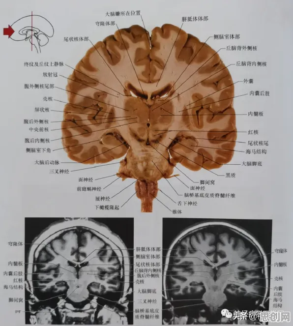 知识图谱中的创新扩散理论，完美解释了完美主义让人痛苦