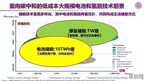 深陷绿色能源发展的Z世代,认知科学研究指出了出路 深陷绿色能源发展的Z世代,认知科学研究指出了出路