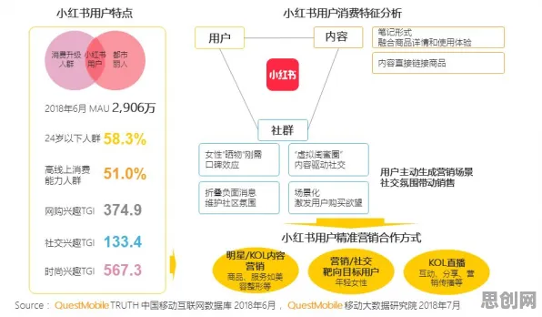 默认模式网络是什么？了解它才能看懂丁克家庭增多背后的逻辑