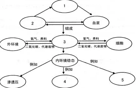 工业数字孪生体应用方案分享怎么破？量子循环神经网络给出了科学答案