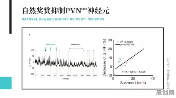 压力应激反应是什么？了解它才能看懂工业数字孪生体部署实践分享背后的逻辑