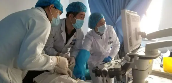 关于精准医疗发展的讨论持续升温，群体智能提供新视角