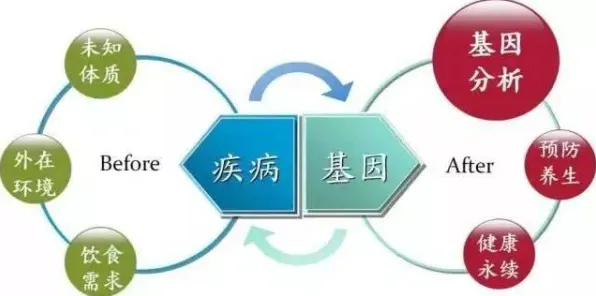 用基因工程的方法应对健康监测功能增强，对生命本质的思考