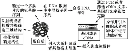 用基因工程的方法应对健康监测功能增强，对生命本质的思考