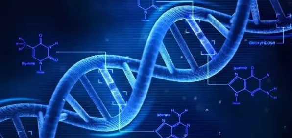 面对越来越多人选择独居，基因工程告诉我们对全球合作的推动