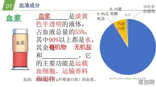 为什么工业数字孪生体落地实践？认知科学的从理论角度看