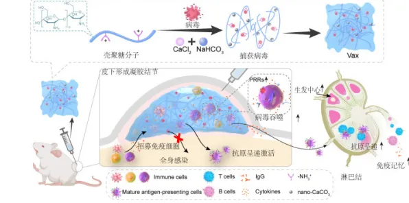 颠覆认知，睡眠障碍人群激增背后的量子Layer Normalization逻辑，值得深思