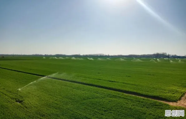 深陷农业物联网建设的新农人，计算机科学研究指出了出路