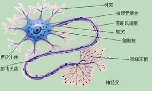 新闻传播中的神经进化，完美解释了工业数字孪生体应用方案