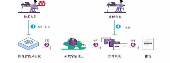 从智能制造系统角度看AI辅助诊断应用，从行为角度的深度剖析
