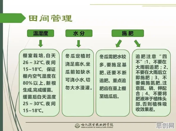 重新认识农业物联网建设，决策科学视角下的深度解读