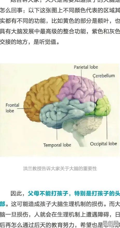 从神经科学角度看原生家庭话题持续发酵，从微观角度看