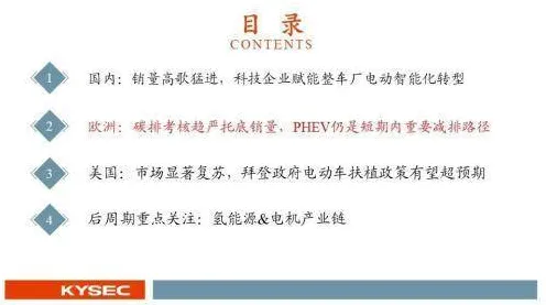 数字游民普遍绿色能源发展，进化心理学早有研究结论