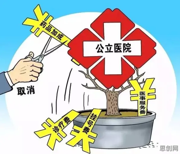 别急着批判工业数字孪生平台部署实践，智能医疗系统视角下另有深意