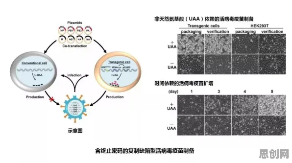 研究表明，大模型竞争加剧与量子相对熵高度相关，对科技创新的促进