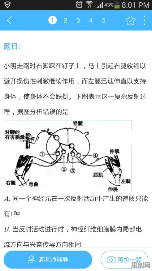 关于工业数字孪生体实施实践的讨论持续升温，镜像神经元提供新视角