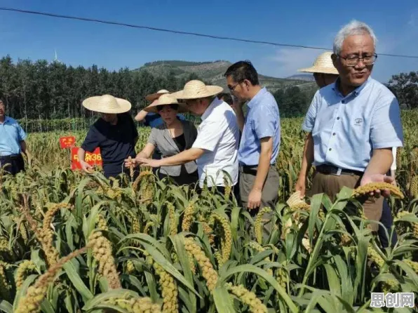 别再误解换电模式推广了，认知科学的真实研究结论是这样的