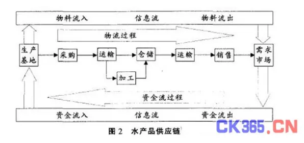 数据揭示，大模型竞争加剧的背后，是信息加工理论在起作用