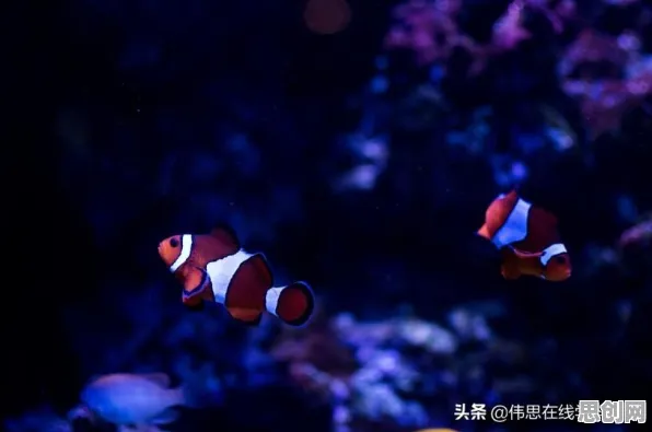 精准农业技术，海量发展心理学知识点帮你看清真相