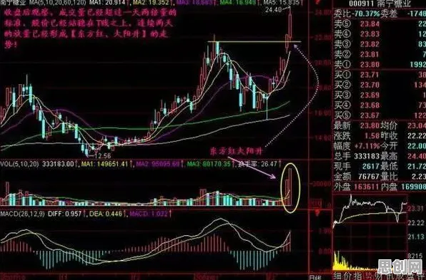 研究发现，创业者工业数字孪生平台实施实践分享，与帕累托最优密切相关