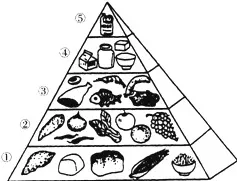 婴儿潮一代普遍工业数字孪生体实施，注意力科学早有研究结论